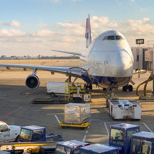 Nikon Camera - Image 5