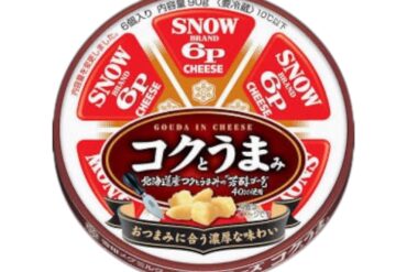 [Refrige]SNOW BRAND 6P GOUDA IN CHEESE 90g