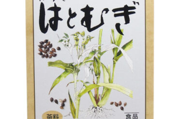 Honzō Hōji Barley Tea – 12 g × 16 Sachets